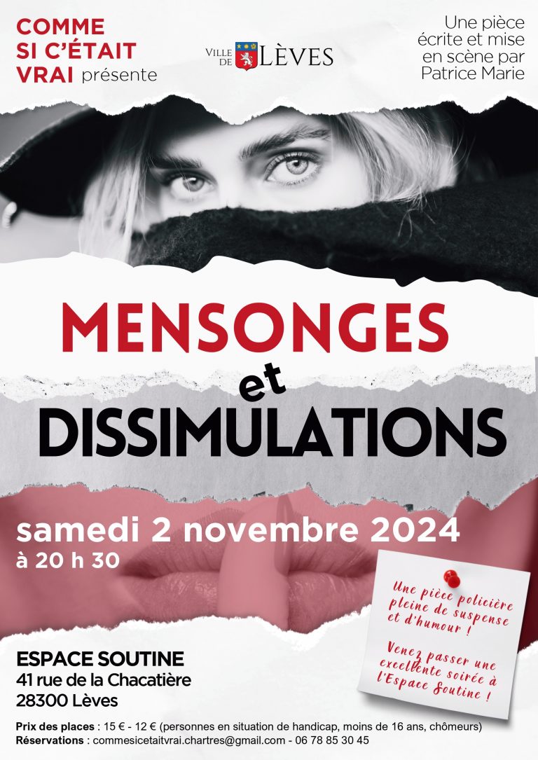 Affiche Mensonges et dissimulations